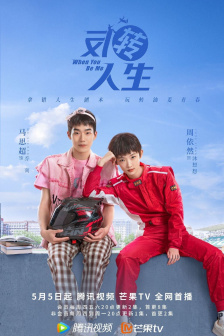 我的阿勒泰电视剧免费观看